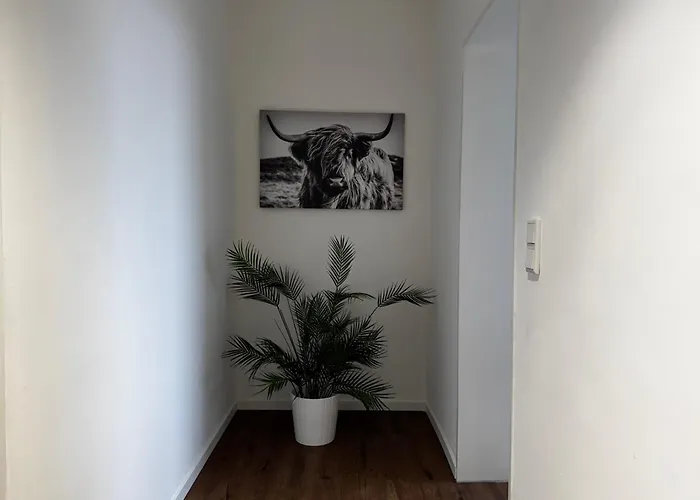 Moderne In Ideal Fuer Familien Und Monteure Bis 6 Personen 公寓 马尔